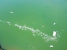 ./2025/pics_djm/tn_20250621_133406 DJI_0705_x.jpg